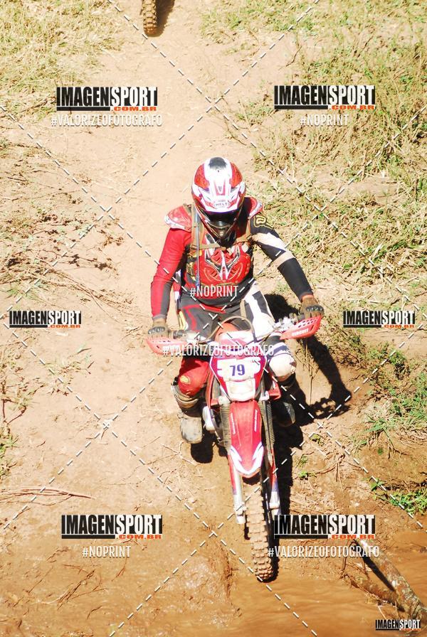 Compre as suas fotos do evento8 Trilho das Abeias no Fotop