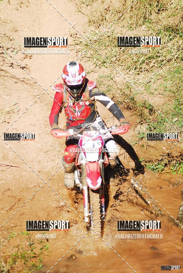 Compre as suas fotos do evento8 Trilho das Abeias no Fotop