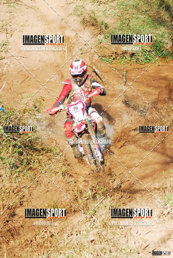 Compre as suas fotos do evento8 Trilho das Abeias no Fotop