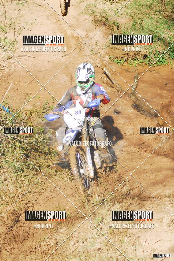 Compre as suas fotos do evento8 Trilho das Abeias no Fotop