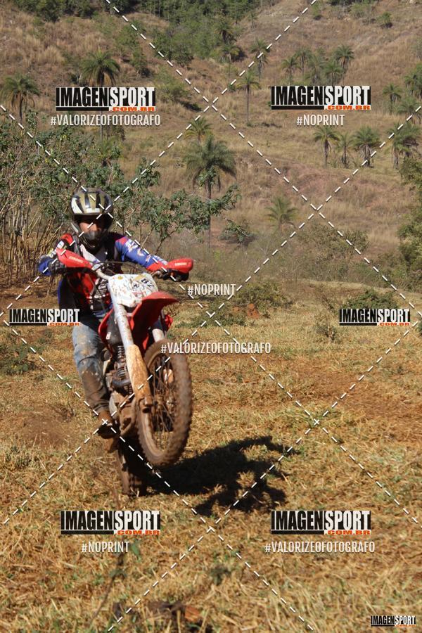 Compre as suas fotos do evento8 Trilho das Abeias no Fotop