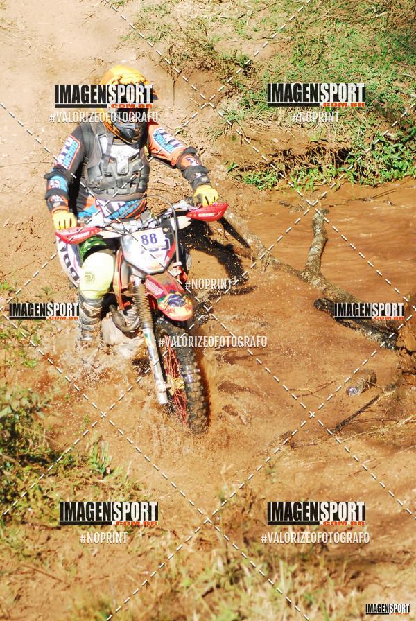 Compre as suas fotos do evento8 Trilho das Abeias no Fotop