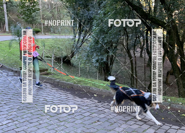 Buy your photos of the eventVai Tot� Canicross Caxias do Sul on Fotop