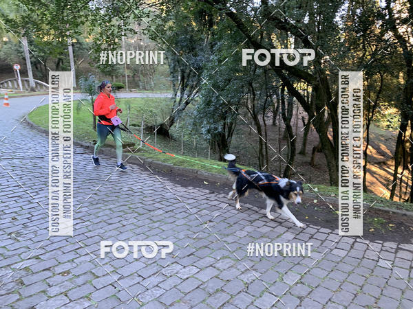 Buy your photos of the eventVai Tot Canicross Caxias do Sul on Fotop