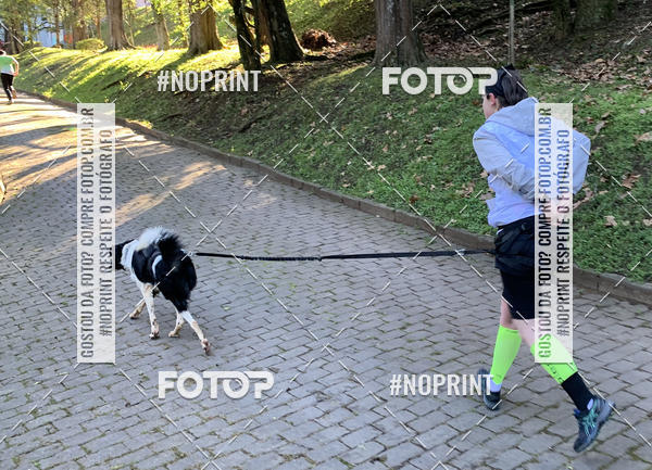 Buy your photos of the eventVai Tot� Canicross Caxias do Sul on Fotop