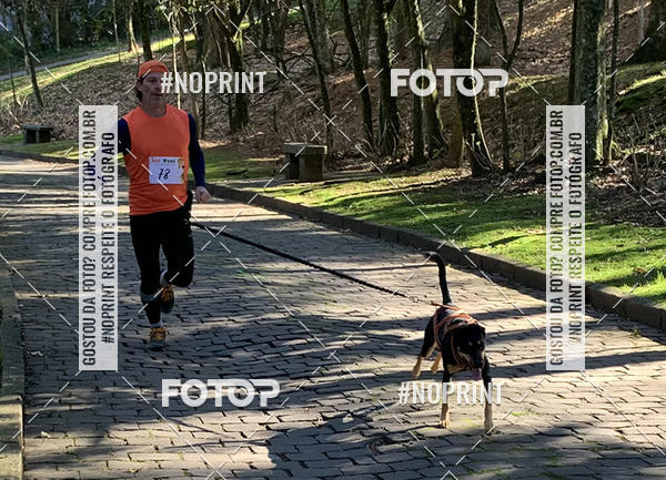 Buy your photos of the eventVai Tot� Canicross Caxias do Sul on Fotop