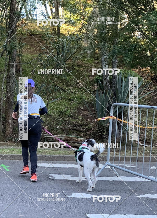 Buy your photos of the eventVai Tot� Canicross Caxias do Sul on Fotop