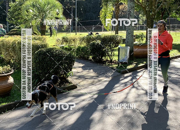 Buy your photos of the eventVai Tot Canicross Caxias do Sul on Fotop