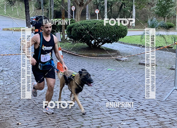 Buy your photos of the eventVai Tot Canicross Caxias do Sul on Fotop