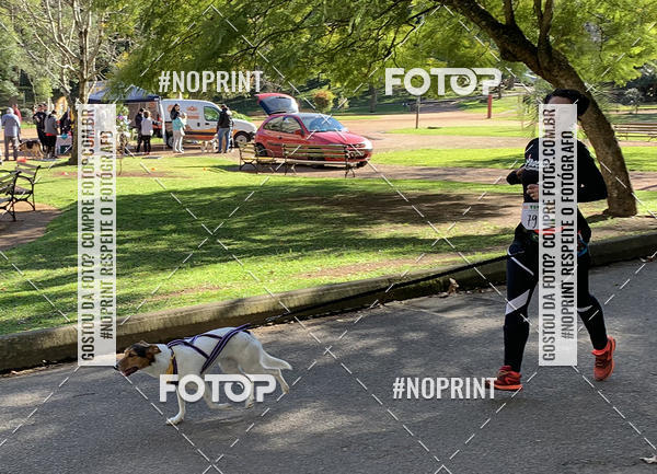 Buy your photos of the eventVai Tot Canicross Caxias do Sul on Fotop