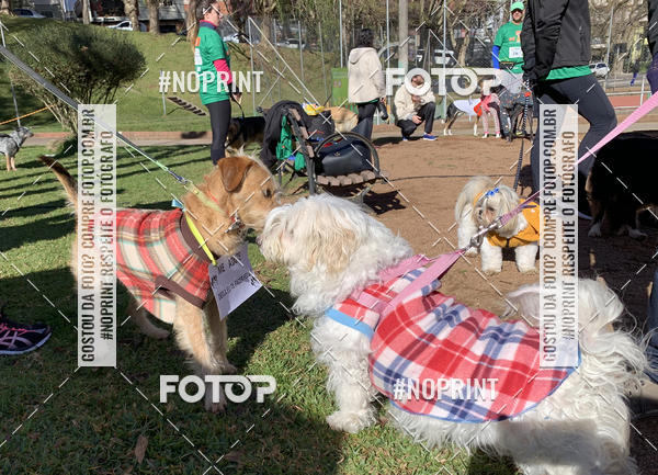 Buy your photos of the eventVai Tot Canicross Caxias do Sul on Fotop