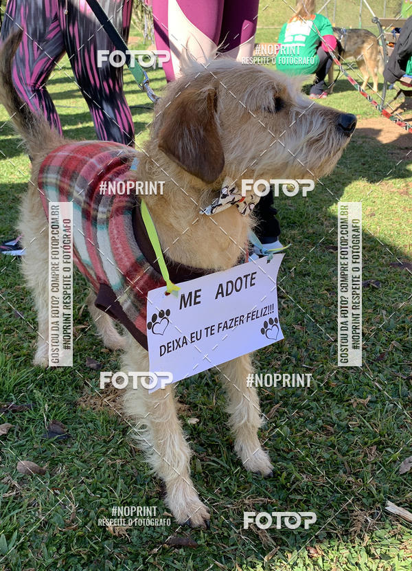 Buy your photos of the eventVai Tot Canicross Caxias do Sul on Fotop