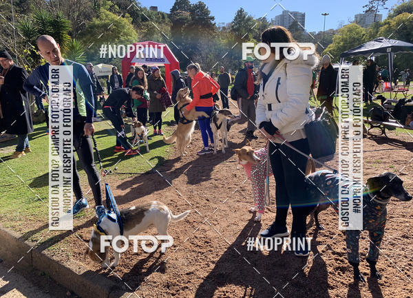 Buy your photos of the eventVai Tot Canicross Caxias do Sul on Fotop