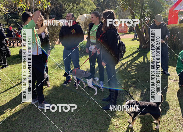 Buy your photos of the eventVai Tot Canicross Caxias do Sul on Fotop