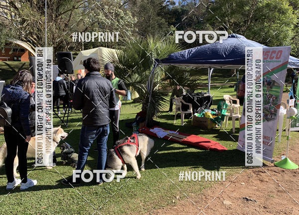 Buy your photos of the eventVai Tot Canicross Caxias do Sul on Fotop
