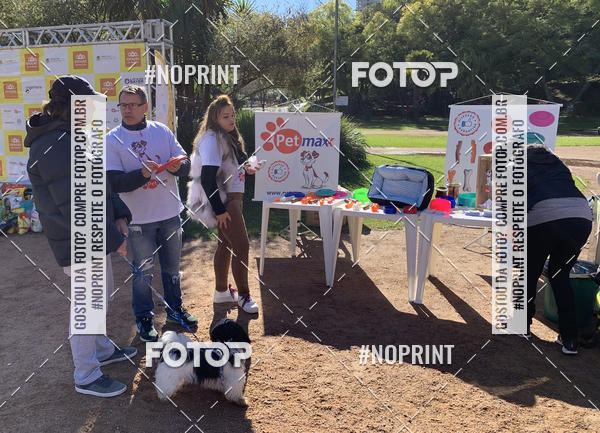 Buy your photos of the eventVai Tot� Canicross Caxias do Sul on Fotop