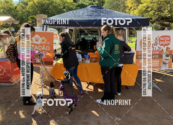 Buy your photos of the eventVai Tot� Canicross Caxias do Sul on Fotop