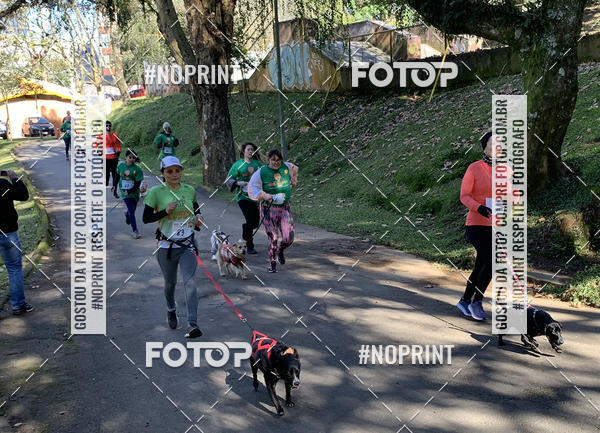 Buy your photos of the eventVai Tot� Canicross Caxias do Sul on Fotop