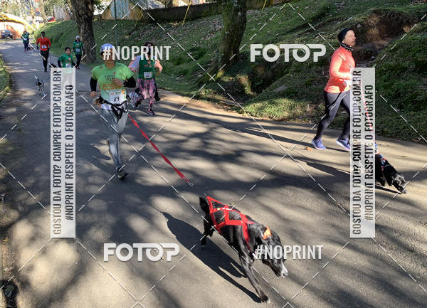 Buy your photos of the eventVai Tot� Canicross Caxias do Sul on Fotop