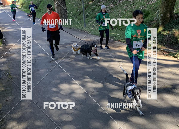 Buy your photos of the eventVai Tot� Canicross Caxias do Sul on Fotop