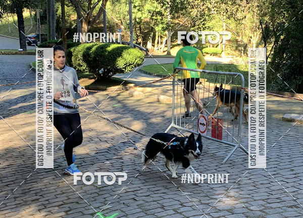 Buy your photos of the eventVai Tot� Canicross Caxias do Sul on Fotop