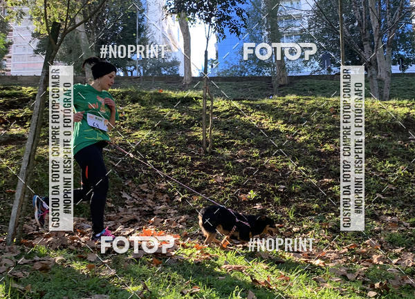 Buy your photos of the eventVai Tot� Canicross Caxias do Sul on Fotop