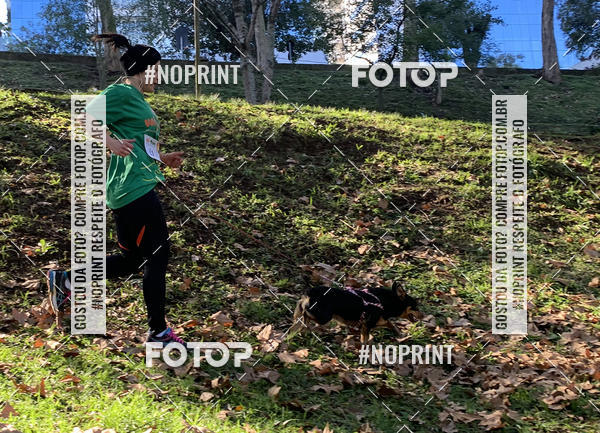 Buy your photos of the eventVai Tot� Canicross Caxias do Sul on Fotop