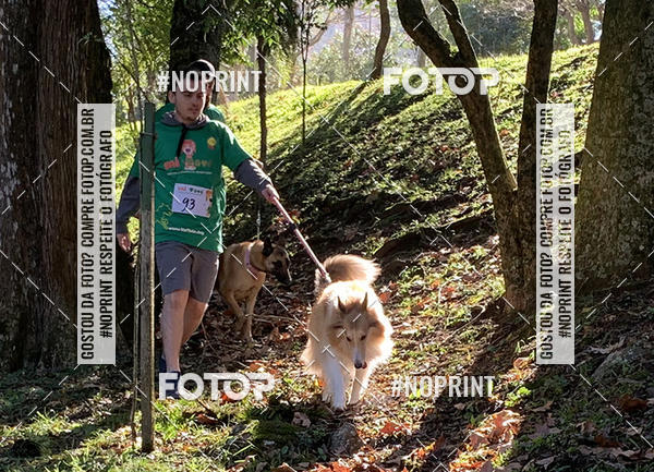 Buy your photos of the eventVai Tot� Canicross Caxias do Sul on Fotop