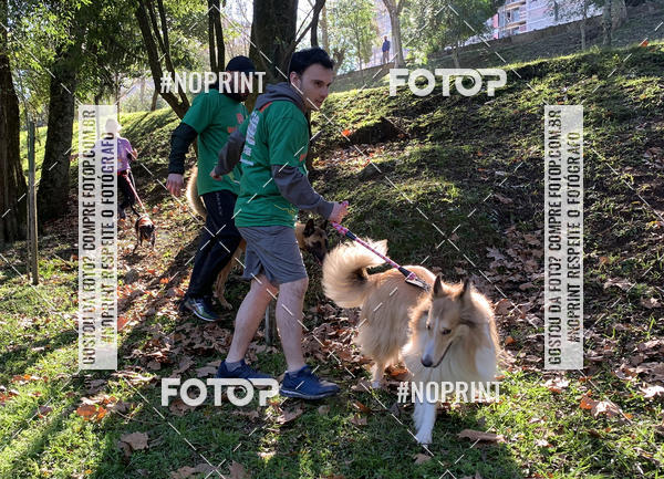 Buy your photos of the eventVai Tot� Canicross Caxias do Sul on Fotop