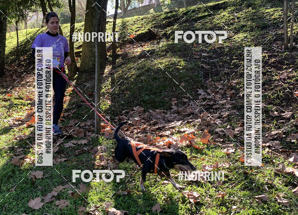 Buy your photos of the eventVai Tot� Canicross Caxias do Sul on Fotop