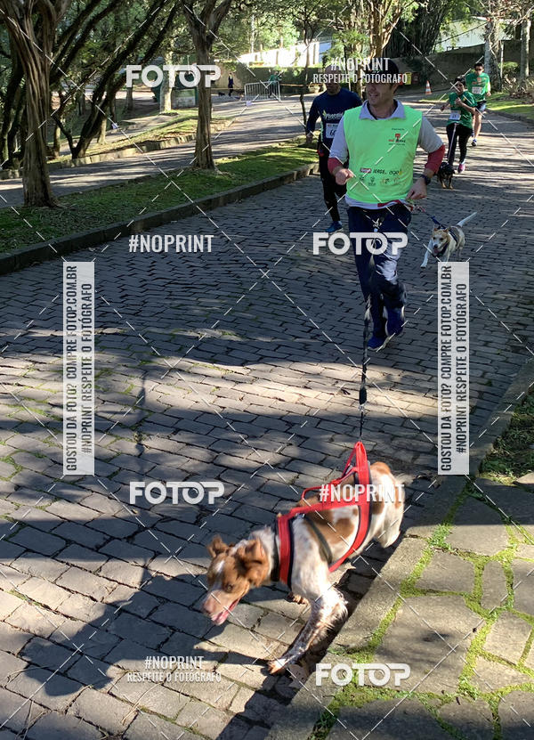 Buy your photos of the eventVai Tot� Canicross Caxias do Sul on Fotop