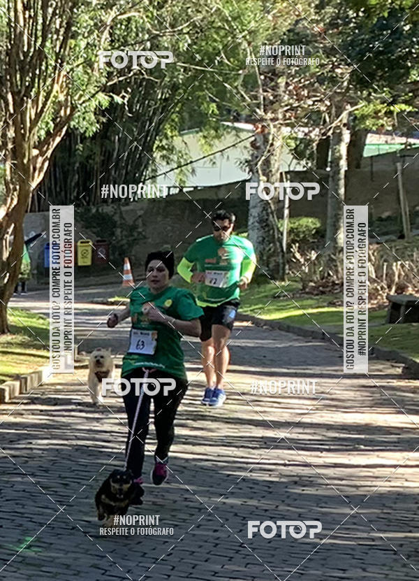 Buy your photos of the eventVai Tot� Canicross Caxias do Sul on Fotop