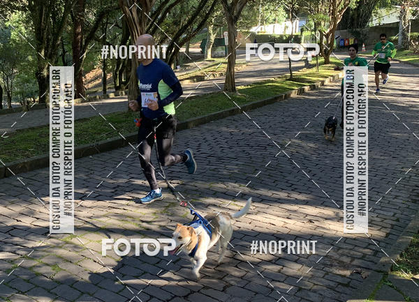 Buy your photos of the eventVai Tot� Canicross Caxias do Sul on Fotop