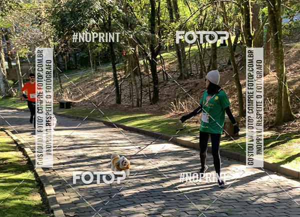 Buy your photos of the eventVai Tot� Canicross Caxias do Sul on Fotop