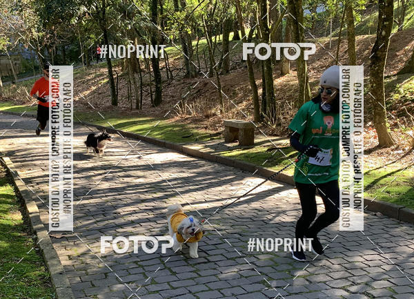 Buy your photos of the eventVai Tot� Canicross Caxias do Sul on Fotop