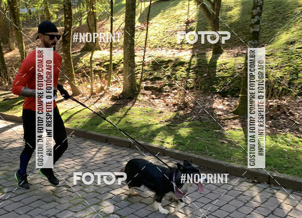 Buy your photos of the eventVai Tot� Canicross Caxias do Sul on Fotop