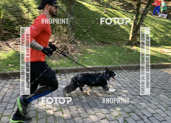 Buy your photos of the eventVai Tot� Canicross Caxias do Sul on Fotop