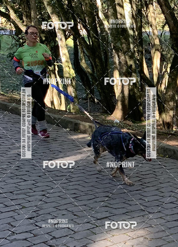 Buy your photos of the eventVai Tot� Canicross Caxias do Sul on Fotop