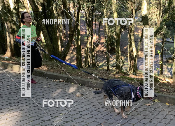 Buy your photos of the eventVai Tot� Canicross Caxias do Sul on Fotop