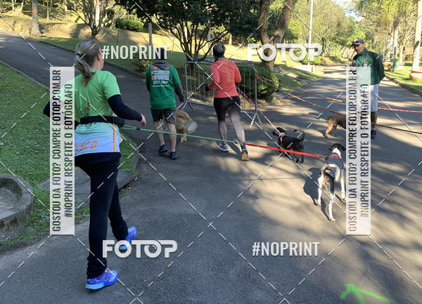 Buy your photos of the eventVai Tot� Canicross Caxias do Sul on Fotop