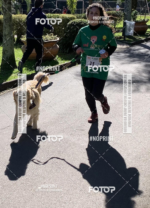 Buy your photos of the eventVai Tot� Canicross Caxias do Sul on Fotop