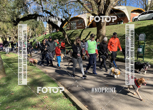 Buy your photos of the eventVai Tot� Canicross Caxias do Sul on Fotop