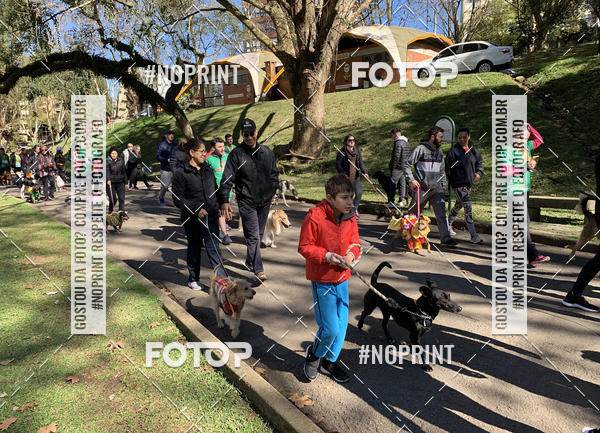 Buy your photos of the eventVai Tot� Canicross Caxias do Sul on Fotop