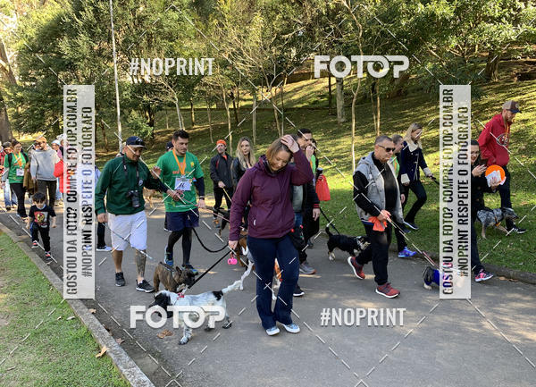 Buy your photos of the eventVai Tot� Canicross Caxias do Sul on Fotop