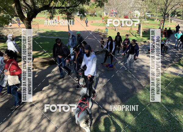 Buy your photos of the eventVai Tot� Canicross Caxias do Sul on Fotop