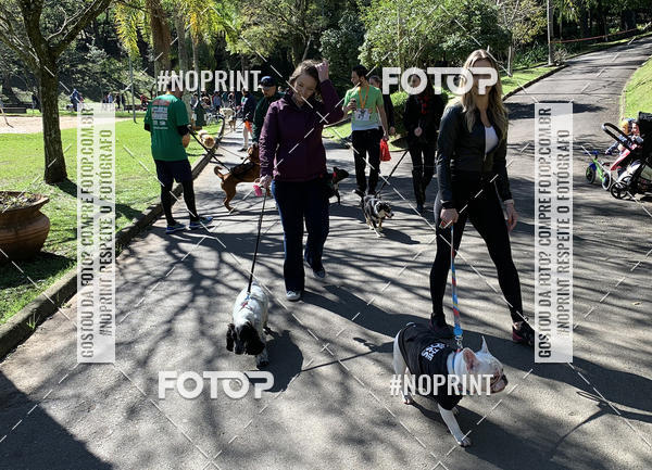 Buy your photos of the eventVai Tot� Canicross Caxias do Sul on Fotop