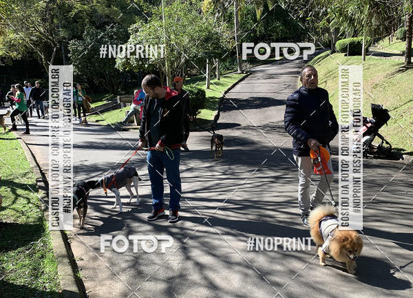 Buy your photos of the eventVai Tot� Canicross Caxias do Sul on Fotop