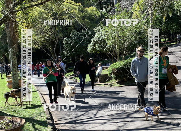 Buy your photos of the eventVai Tot� Canicross Caxias do Sul on Fotop