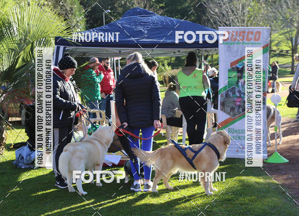 Buy your photos of the eventVai Tot� Canicross Caxias do Sul on Fotop