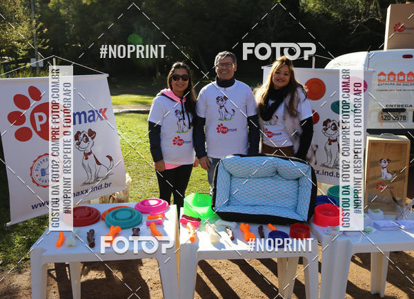 Buy your photos of the eventVai Tot� Canicross Caxias do Sul on Fotop